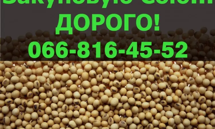 Приглашаем к сотрудничеству производителей СОИ!Куплю сою !!!!ДОРОГО - фото № 1