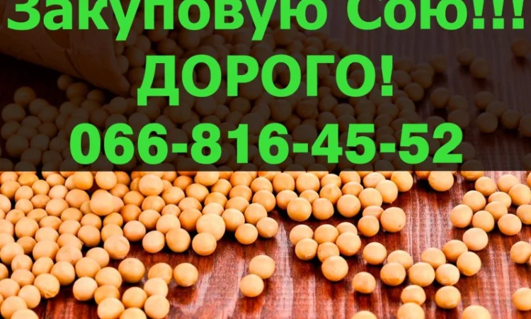 Купуємо сою на вигідних умовах - фото № 1