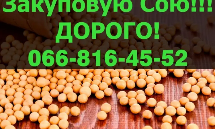 Покупаем СОЮ на конкурентных условиях - фото № 1