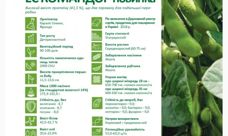 Продаж насіння сої ЕС Командор (СН-1) Без ГМО - фото № 1