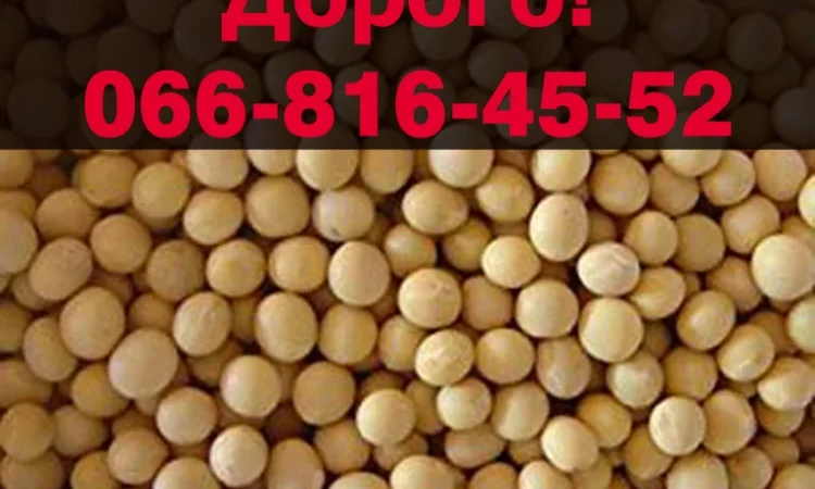 Закупаю сою по высоким ценам - фото № 1