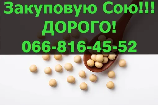 Куплю на постійній основі СОЮ!Максимальні ціни - фото № 1