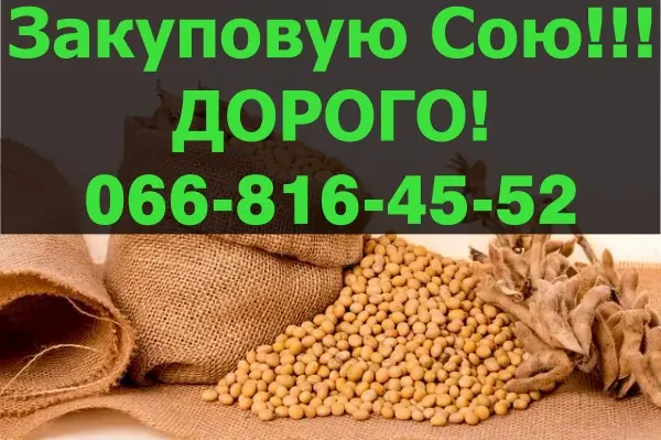 Покупаю СОЮ в больших объемах - фото № 1