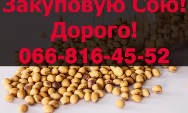 Закупаю СОЮ в любых объемах - фото № 1