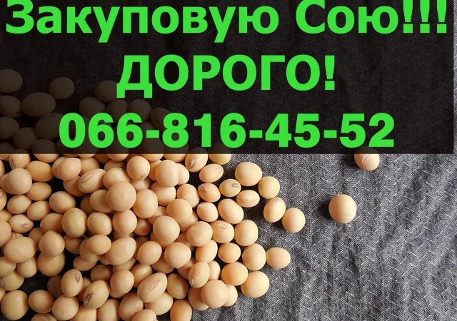 Купуємо сою на постійній основі - фото № 1