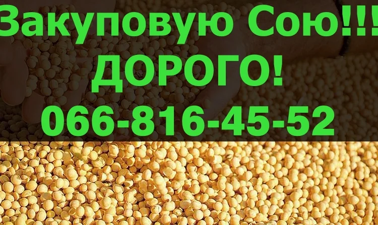 Закупівля сої в Полтаві - фото № 1