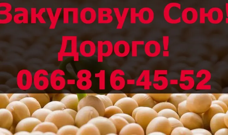 Предприятие Закупает Соя!Контракт!Дорого!Оплата на Весах - фото № 1
