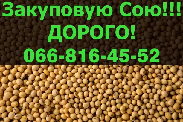 На постоянной основе покупаем СОЮ!Большие контракты - фото № 1