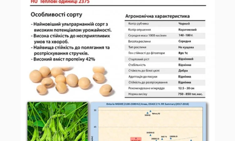 Новинка! Соя Махоні - фото № 3