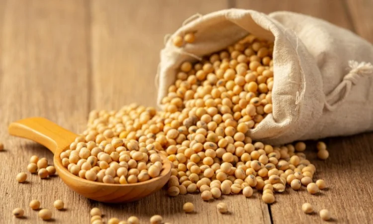 Закупівля сої (ГМО та не ГМО) у Львові - фото № 1