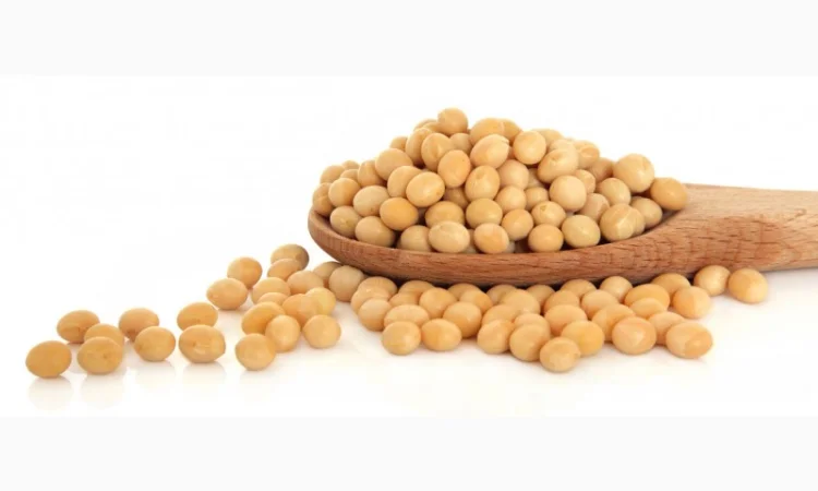 Купуємо сою (ГМО та не ГМО) в м. Суми - фото № 1