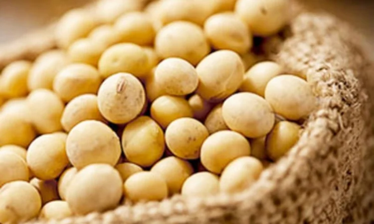 Куплю сою 1/2ф в Полтаве - фото № 1