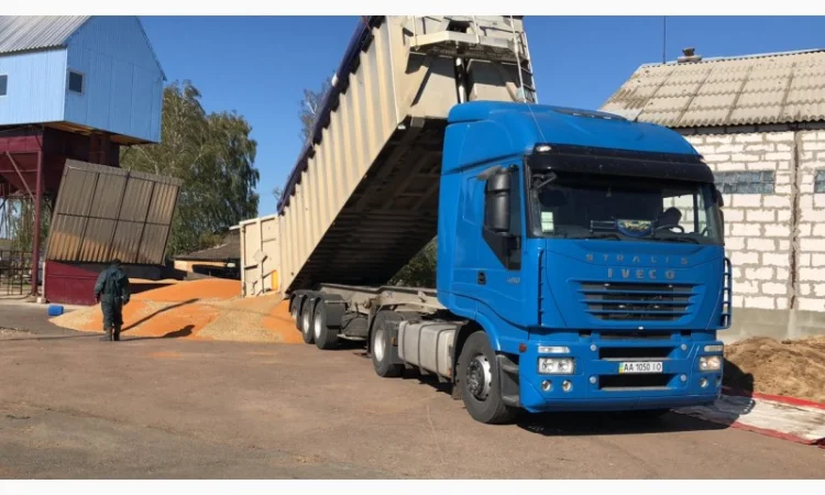 Підприємство Купує Половинки сої. Соєві відходи. Погнила, Осколки, Четвертинка, Пріла соя - фото № 4