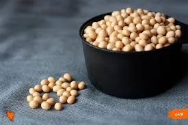 Купуємо сою ГМО без ГМО - фото № 1