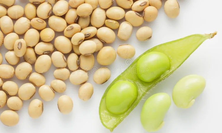 Куплю сою с поля - оплата на весах, самовывоз, крупный опт - фото № 1