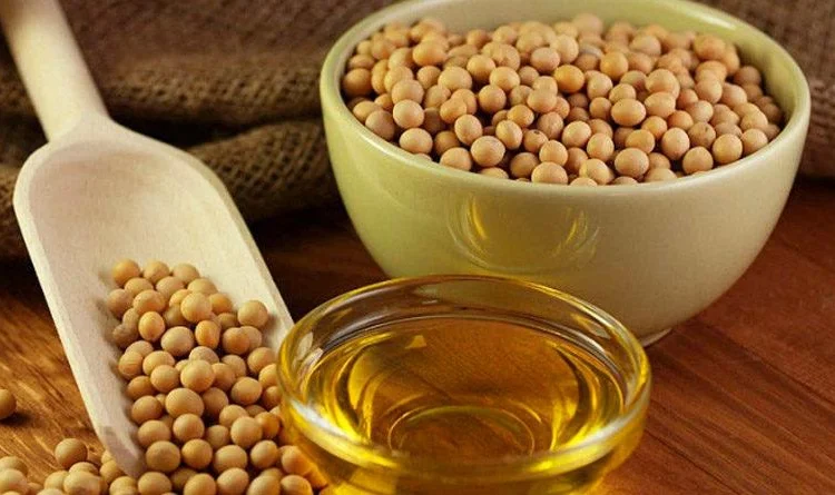 Купую СОЮ крупним оптом для переробки (ГМО та без ГМО) - фото № 1