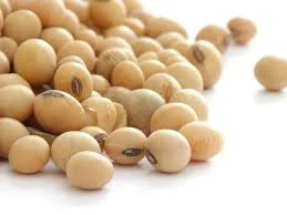 Закупаем СОЮ для производства (ГМО и без ГМО) от 1 тонны - фото № 1