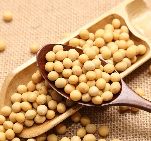 Купую сою оптом від 1 тонни - фото № 1