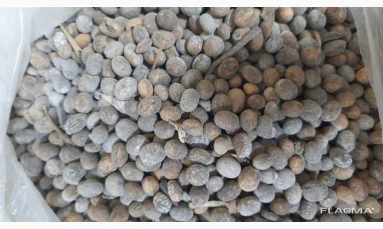 Куплю отходы сои оптом - фото № 2