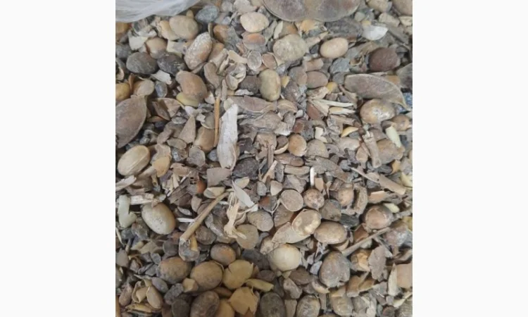 Куплю отходы сои оптом - фото № 3