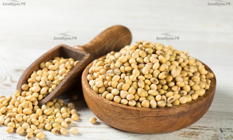 Куплю СОЮ з поля. Оплата: на вагах (Ф1, Ф2) - фото № 1