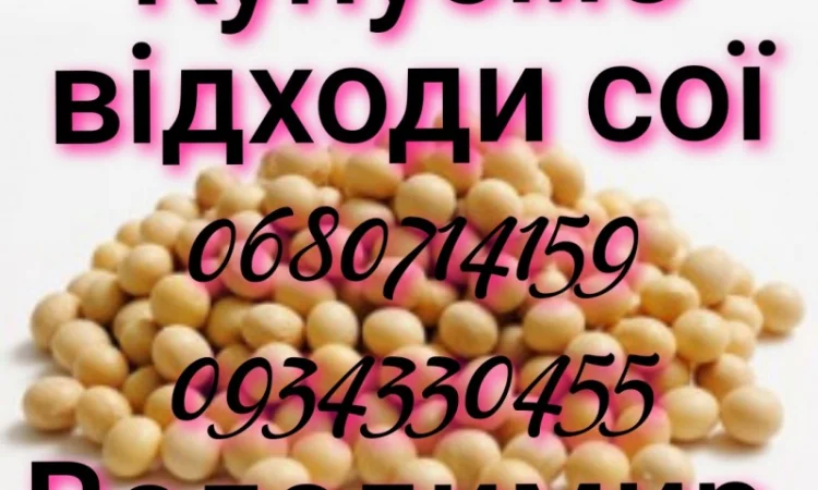 Купуємо відходи сої - фото № 1