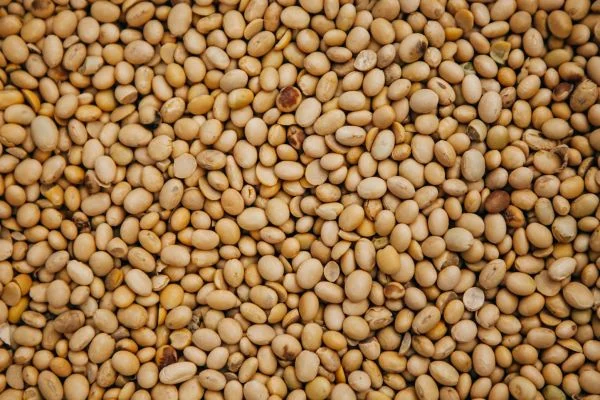 Закупаем сою постоянно самовывоз расчет на весах. НЕКОНДИЦИЯ - фото № 3