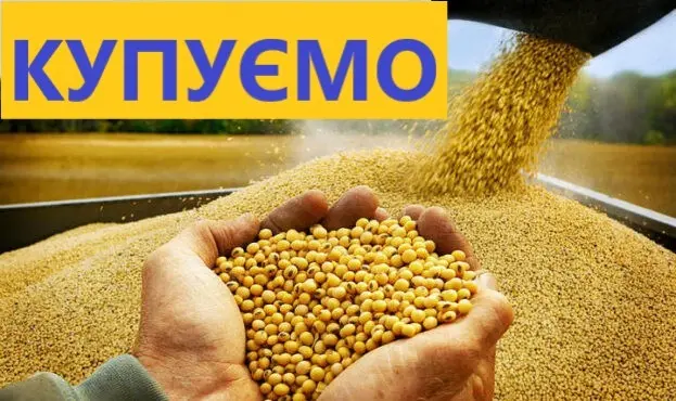Закупаем сою постоянно самовывоз расчет на весах. НЕКОНДИЦИЯ - фото № 1