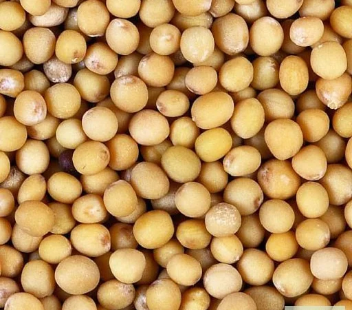 Закупаем сою в г.Николаев - фото № 1