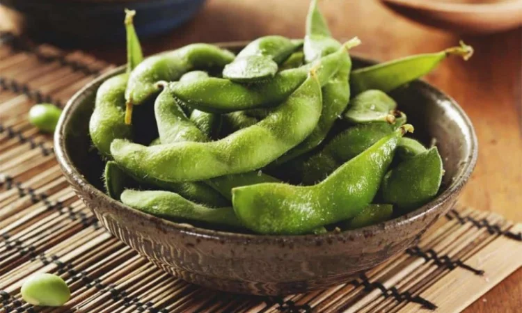 Семена сої сорту Аполло на продаж - фото № 1