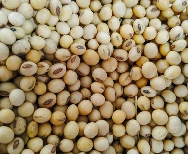 Купую сою (половинки та цілу) з самовивозом - фото № 1