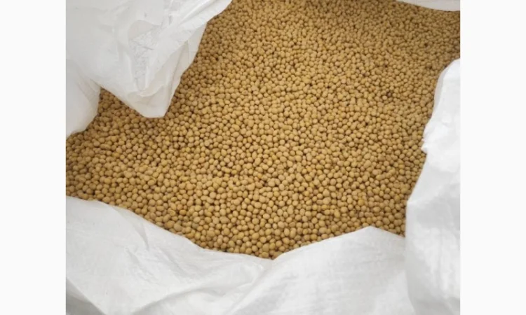 Продаж насіння сої сорту P03T68R2 - фото № 2