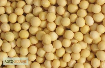 Закупаем сою ГМО у сельхозпроизводителей - фото № 1