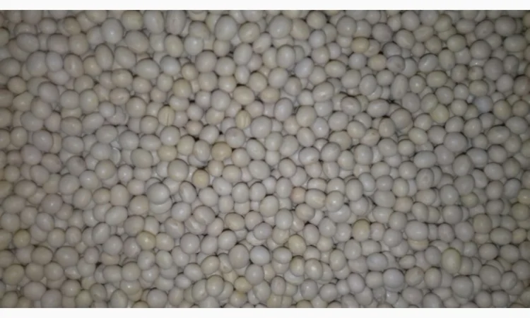 Семена сої 1 репродукції – продаж - фото № 4