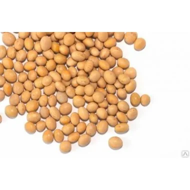 Продам сою не ГМО, 700 т, Львівська обл - фото № 1