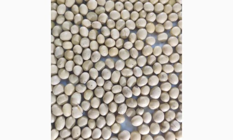 Купуємо сою по ф1 з ПДВ без ГМО - фото № 1