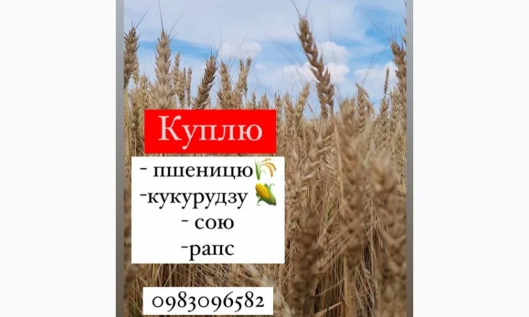 Куплю сою оптом - фото № 1