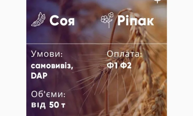 КУПЛЮ сою оптом постійно ГМО та не ГМО. Самовивіз. Дзвоніть - фото № 1