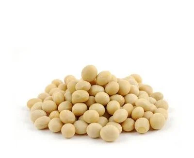 Купуємо сою в с. Нове - фото № 1