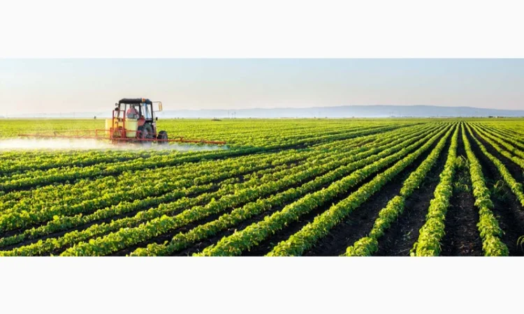 Закупка ГМО сои в Чернигове - фото № 1