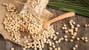 Покупаем сою за наличные или по безналичному расчету - фото № 1