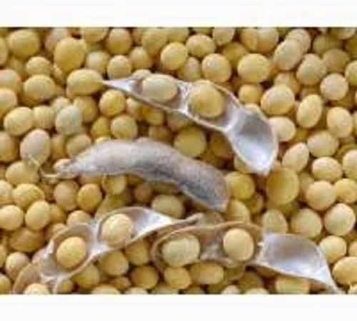 Закупаем сою в Винницкой области - фото № 1