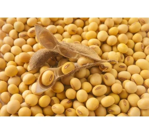 Соя сорт "Діона" еліта і перша - фото № 1