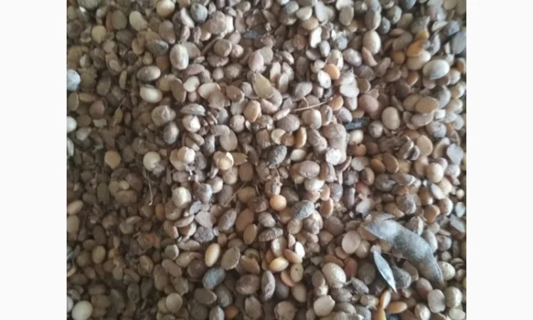 Куплю СОЮ - фото № 3