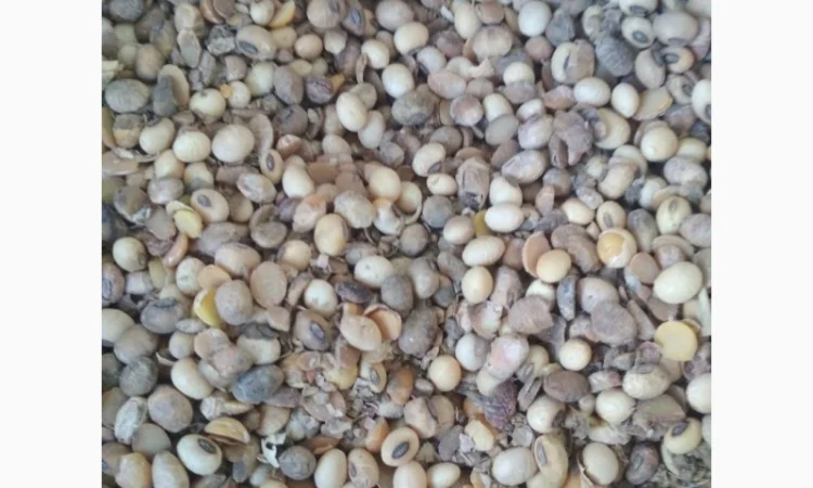 Куплю СОЮ - фото № 1