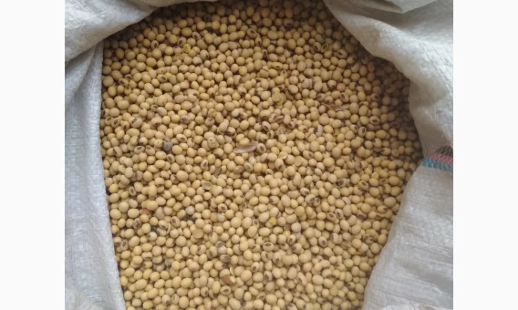 Куплю СОЮ - фото № 4