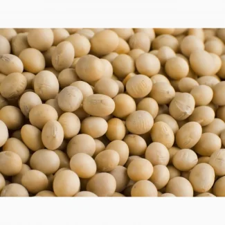 Продается семена сои сорт "Аполло" - фото № 1