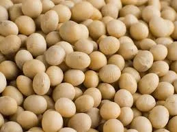 Продается соя ГМО очищенная - фото № 1