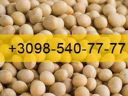 Купую Сою 2023 року врожай - фото № 1