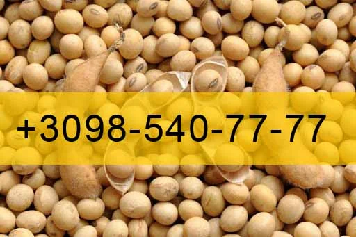 Купую Сою врожай 2023 року - фото № 1